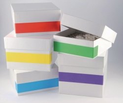 Cryo labels Rainbow | Type : Rainbow